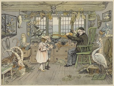 Bird-Stuffer (litografia a colori) da Francis Donkin Bedford