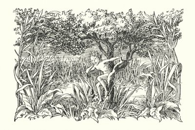 Merrie England: Robin Goodfellow (litografia) da Francis Donkin Bedford