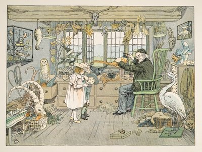 The Bird Stuffer, da Four and Twenty Toilers, pub. 1900 (litografia a colori) da Francis Donkin Bedford