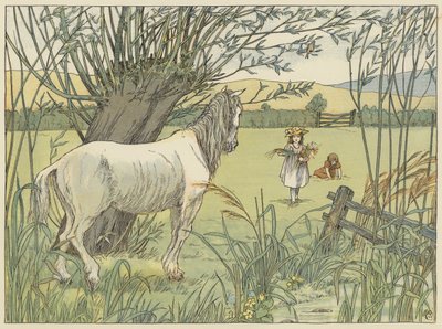 Il vecchio cavallo dell