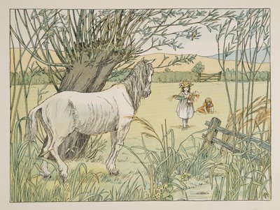 Il vecchio cavallo dell
