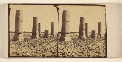 Colonne spoglie nel deserto, forse a Tebe da Francis Frith