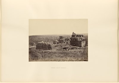 Vista lontana di Damasco da Francis Frith