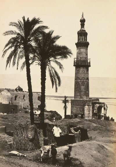 "Egitto e Palestina": vista di Girgeh, Alto Egitto da Francis Frith