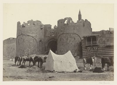 Vista su Bab al-Azab, porta della cittadella del Cairo da Francis Frith