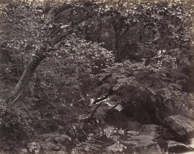 Valle a Lynmouth da Francis Frith
