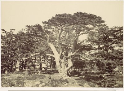  da Francis Frith