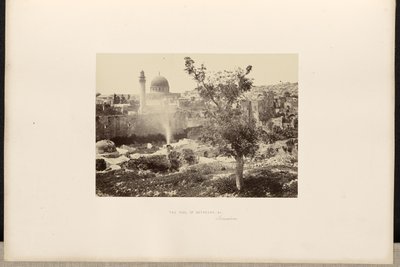 La piscina di Bethesda, ecc., Gerusalemme da Francis Frith