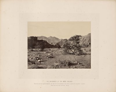 Il deserto del peccato (Wady Shellal) da Francis Frith