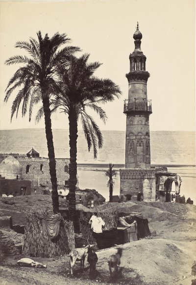 Veduta di Girgeh da Francis Frith
