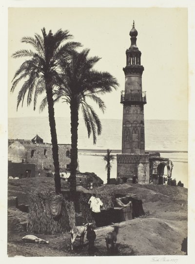 Vista su Girgeh, Alto Egitto da Francis Frith
