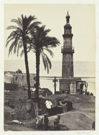 Veduta di Girgeh, Alto Egitto da Francis Frith