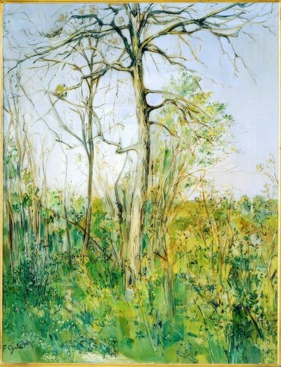 Paesaggio da Francis Gruber