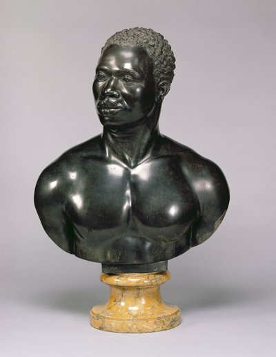 Busto di un uomo (calcare nero e marmo giallo) da Francis Harwood