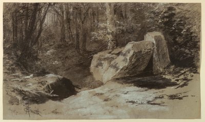 Rocce nel bosco da Francis Hopkinson Smith
