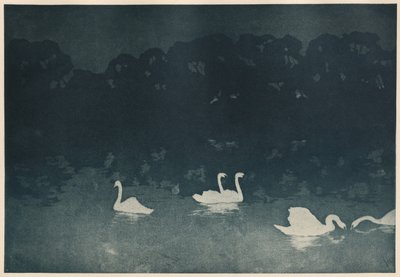 I Cigni da Francis Jourdain