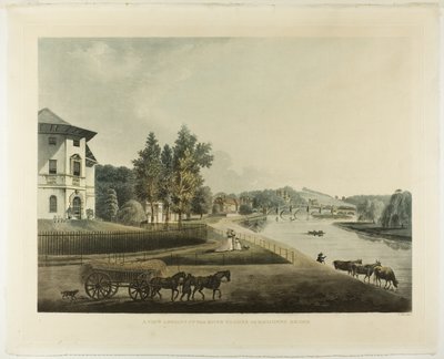 Veduta del fiume Tamigi verso il ponte di Richmond da Francis Jukes