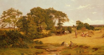 Campo di Grano in Essex, 1875 da Francis M. Trappes