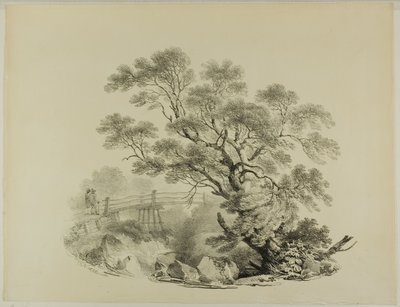 Albero e passerella da Francis Nicholson