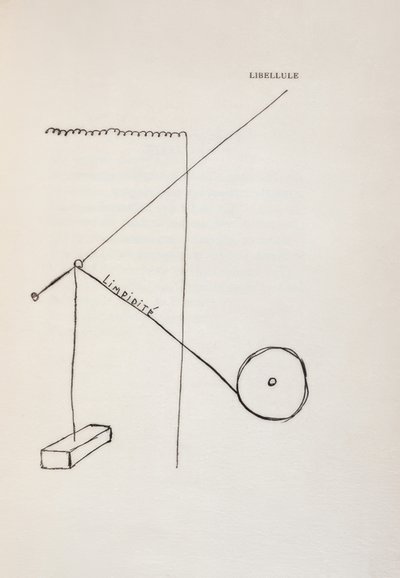 Libellula da Francis Picabia