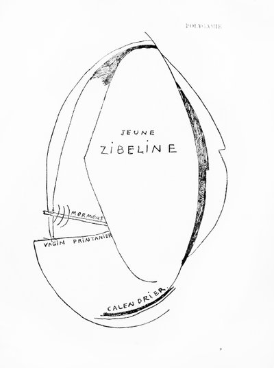 Poemes et Dessins de la Fille nee sans Mere, n. 15, pubblicato dalle Imprimeries Reunies, Losanna. da Francis Picabia