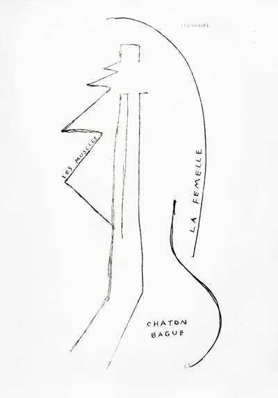 Poemes et Dessins de la Fille nee sans Mere, n. 23, pubblicato dalle Imprimeries Reunies, Losanna. da Francis Picabia