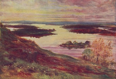 Un lago irlandese da Francis S Walker