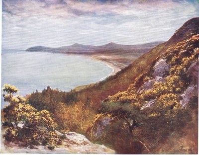 Dublin Bay da Victoria Hill, da Peeps at Many Lands: Ireland pubblicato da Adams & Charles, 1909 da Francis S. Walker