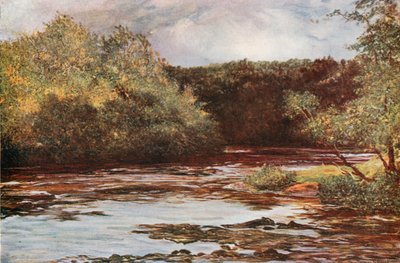 Il fiume Ayr a Failford da Francis S. Walker