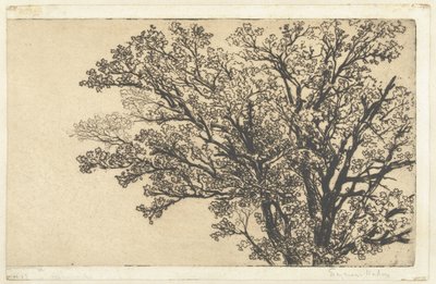 Cima di un albero da Francis Seymour Haden (Sir) (signed by artist)