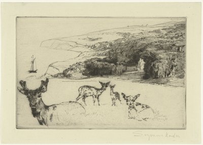 Newton Manor da Francis Seymour Haden (Sir) (signed by artist)