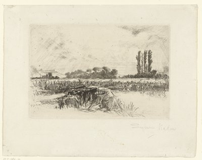 Prato acquatico da Francis Seymour Haden (Sir) (signed by artist)