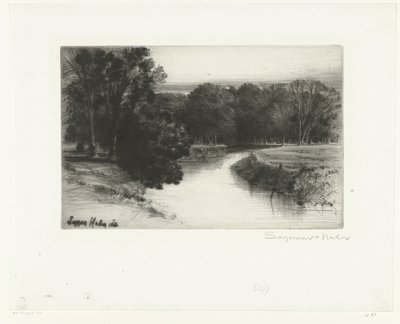 Tramonto in Irlanda da Francis Seymour Haden (Sir) (signed by artist)