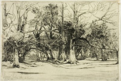 Una strada secondaria a Tipperary da Francis Seymour Haden