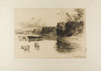 Un fiume del Lancashire da Francis Seymour Haden