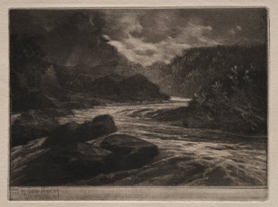 Un fiume di salmoni da Francis Seymour Haden