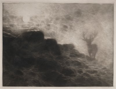 Un mattiniero, 1897 da Francis Seymour Haden
