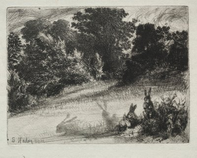 Combe Bottom da Francis Seymour Haden