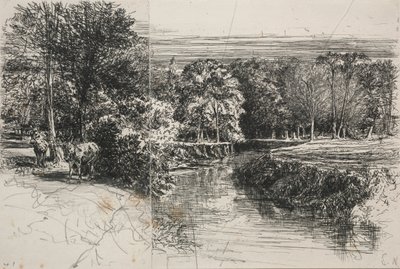 Fiume Dundrum e i due asini, 1863 da Francis Seymour Haden