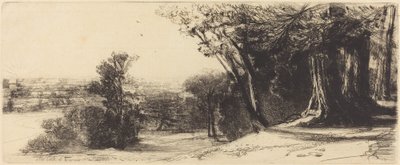 Mattina presto - Richmond da Francis Seymour Haden