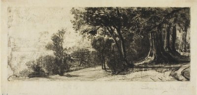 Mattina Presto, Richmond Park da Francis Seymour Haden
