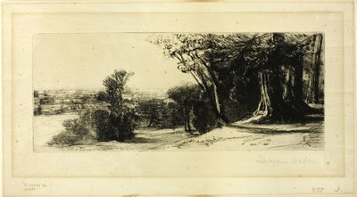 Mattina presto, Richmond Park da Francis Seymour Haden