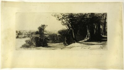 Mattina Presto, Richmond Park da Francis Seymour Haden