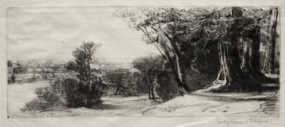 Mattina presto, Richmond Park da Francis Seymour Haden