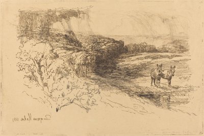 Boschi di Encombe (No.1) da Francis Seymour Haden