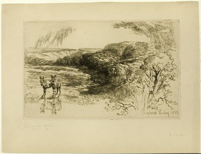 Boschi di Encombe, n. II da Francis Seymour Haden