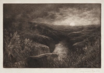Rifugio della zanzara da Francis Seymour Haden