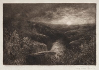 Rifugio della zanzara da Francis Seymour Haden