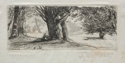 Campo di Agrifoglio da Francis Seymour Haden