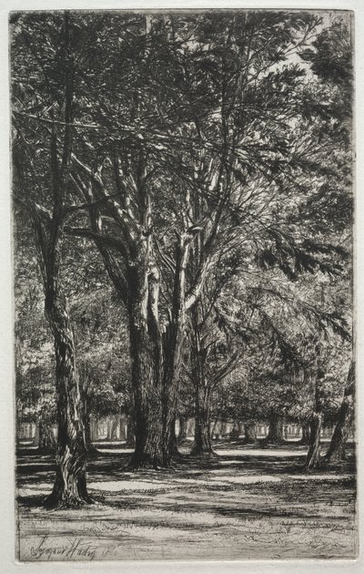 Giardini di Kensington (La grande tavola) da Francis Seymour Haden